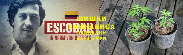 MDMA Гусев
